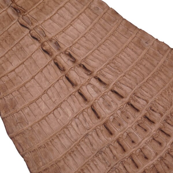 NCROC.Vintage Tan.Hornback.03.jpg Nile Crocodile Tails Image
